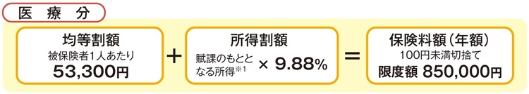 内訳1　医療分