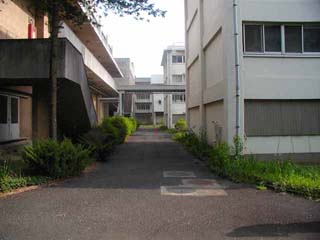 画像16