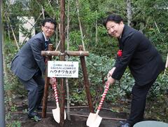 植樹式