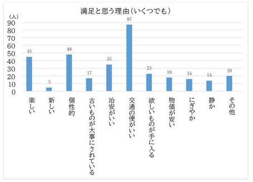 満足と思う理由