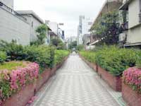桃園川緑道の写真